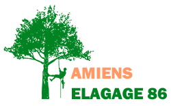 elagage-amiens-elagage